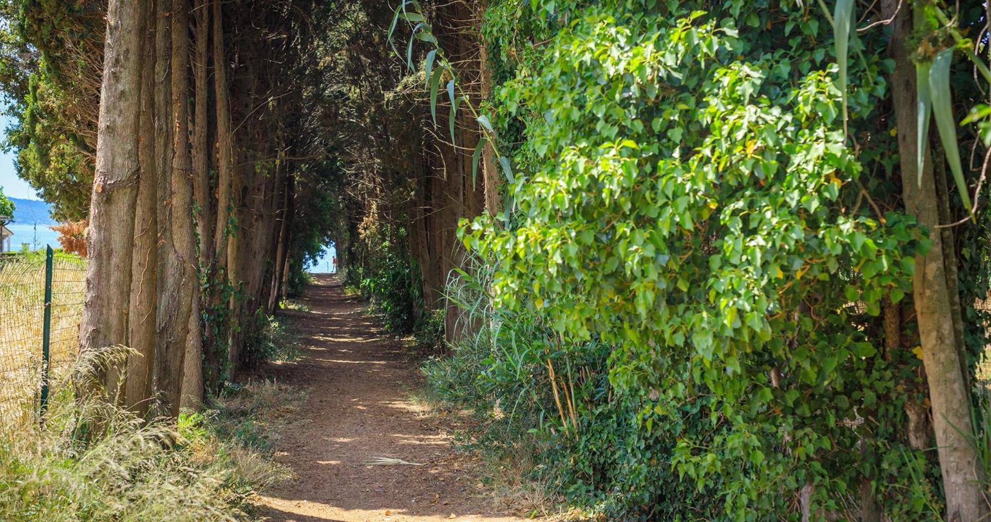Appartamento La Perla Di Trevignano Trevignano Romano Esterno foto